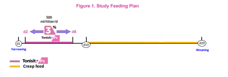 Study Feeding Plan