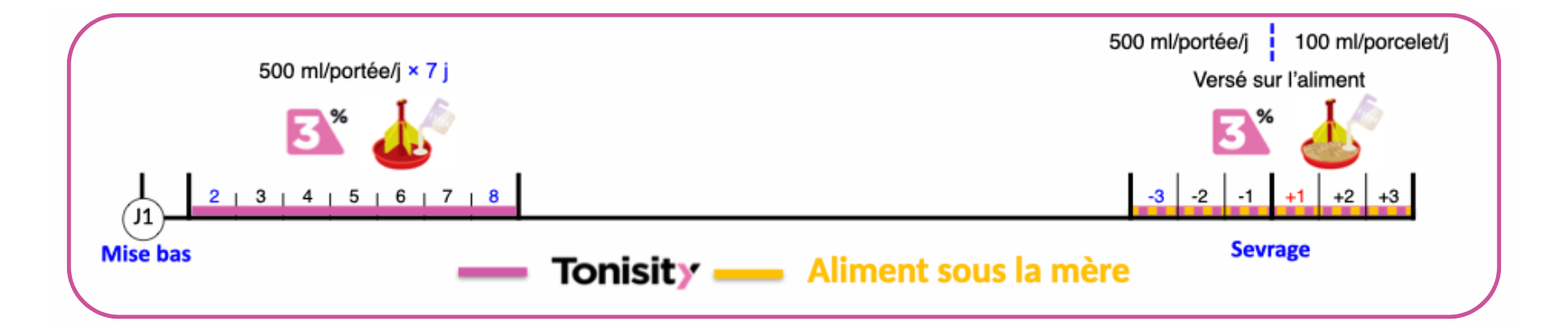 L'impact de Tonisity Px sur les performances des porcelets en nurserie en Belgique
