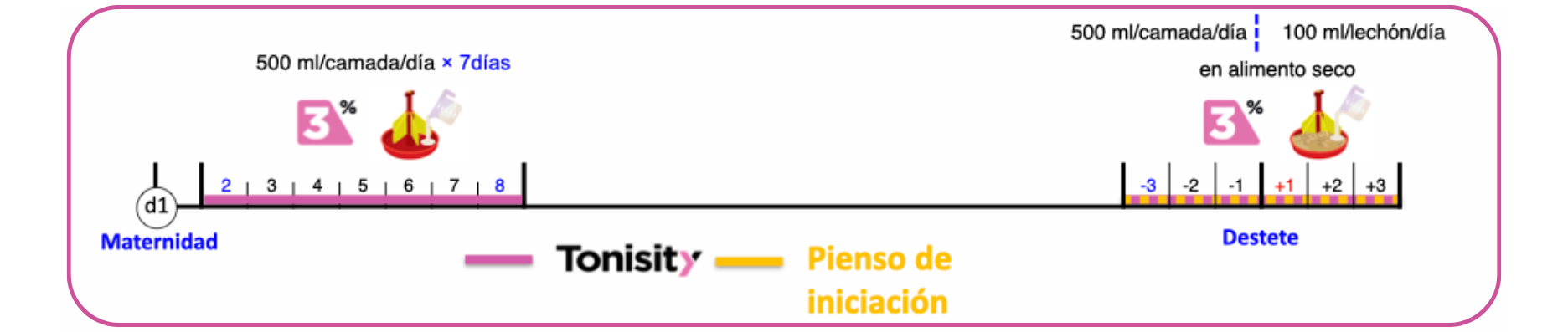 Impacto de Tonisity Px en lechones en transición en Bélgica