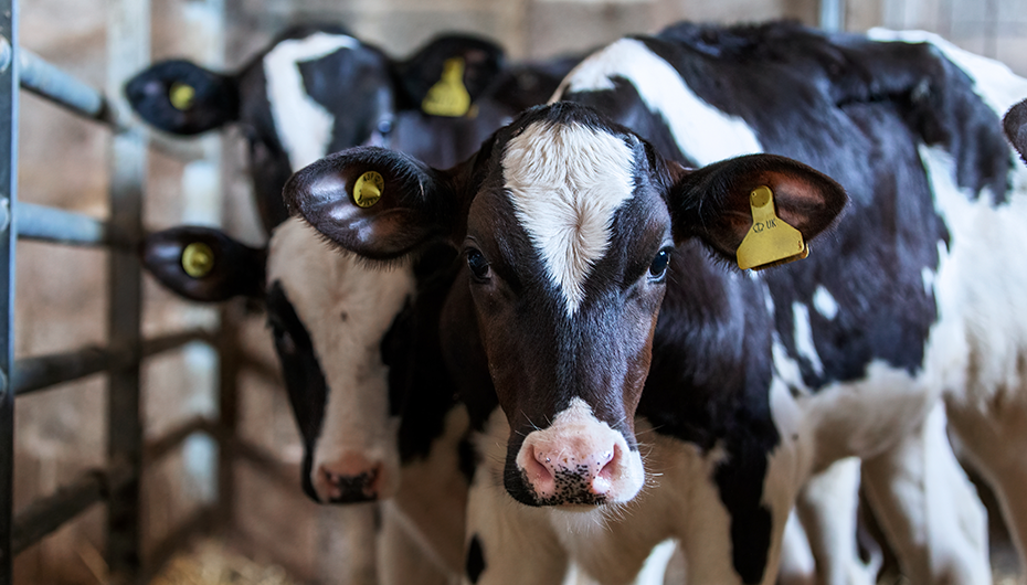 improve-farm-profitability