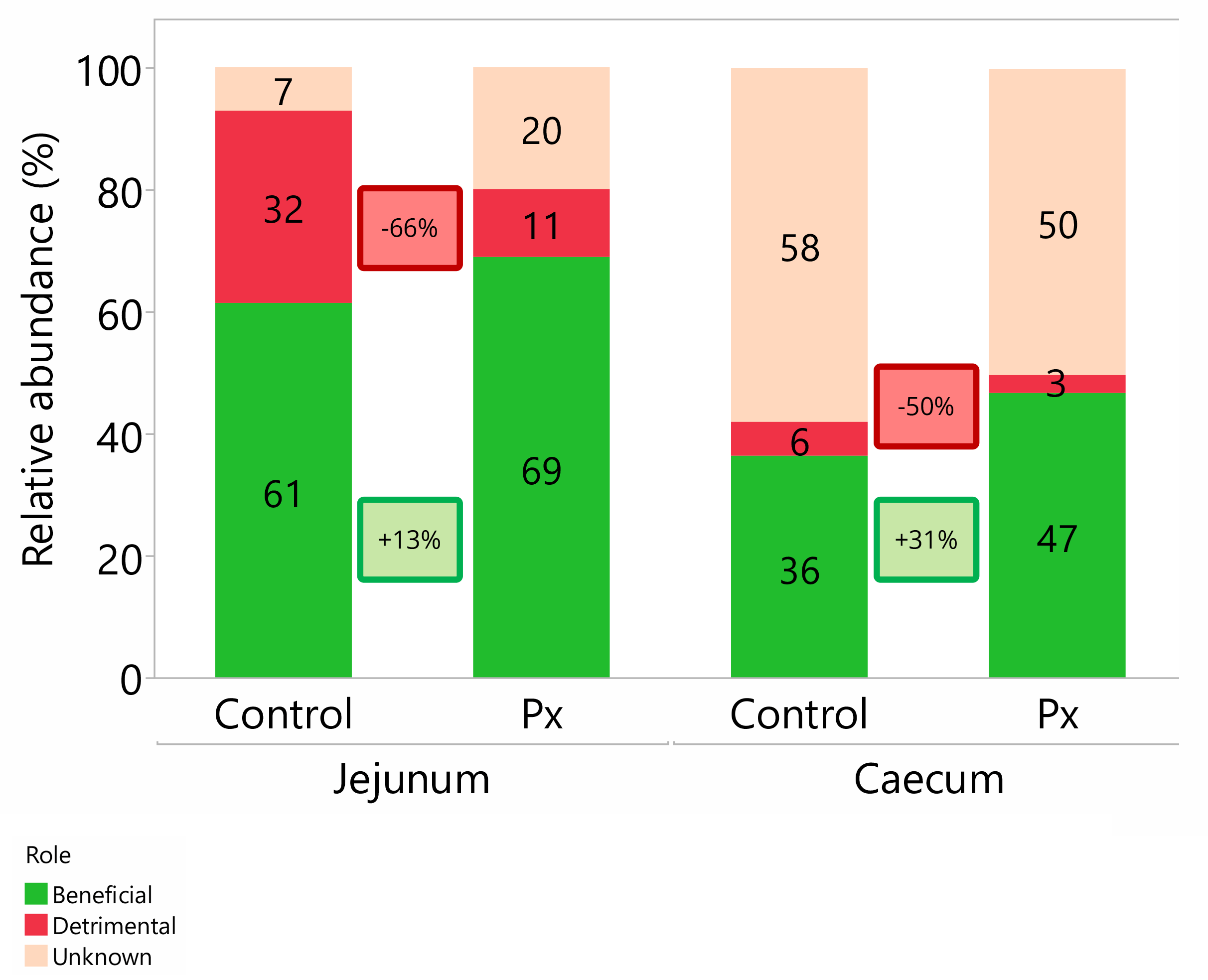7. Optimised gut microbiome
