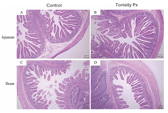 Bigger, Healthier Villi